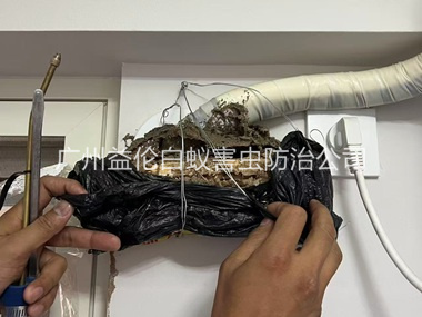 天河房屋白蚁诱杀工程