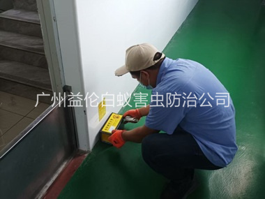 海珠工厂车间室内布置粘鼠板工程