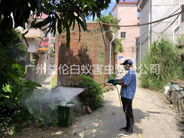 番禺村庄灭蚊预防“两热”工程